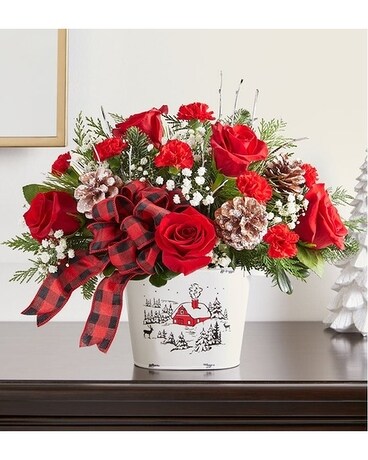 Countryside Christmas Bouquet by Agnew Florist Flower Arrangement