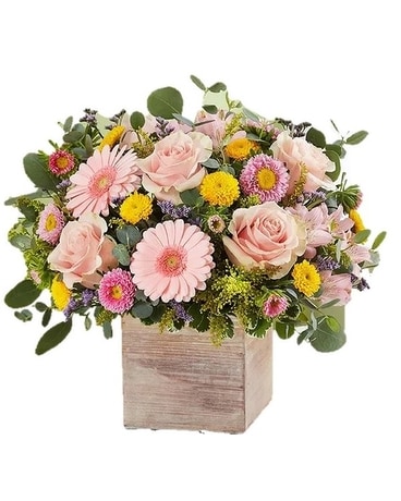 Spring Sentiment Bouquet by Agnew Florist Flower Arrangement