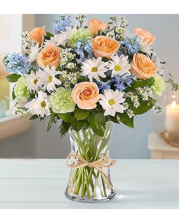 Summer Dunes from Agnew Florist Flower Arrangement