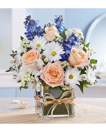 Coastal Breeze from Agnew Florist Flower Arrangement