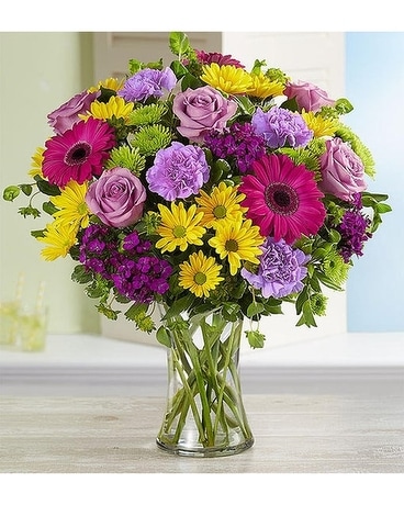 Brilliant Blossom Medley from Agnew Florist Flower Arrangement