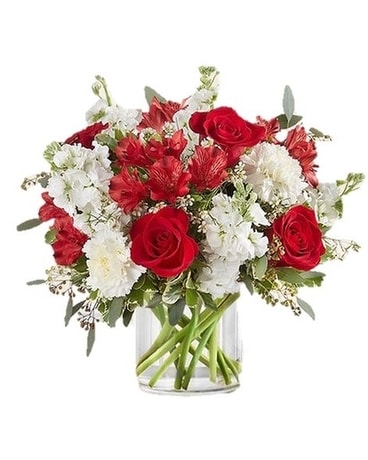 Crimson Rose Bouquet by Agnew Florist Flower Arrangement