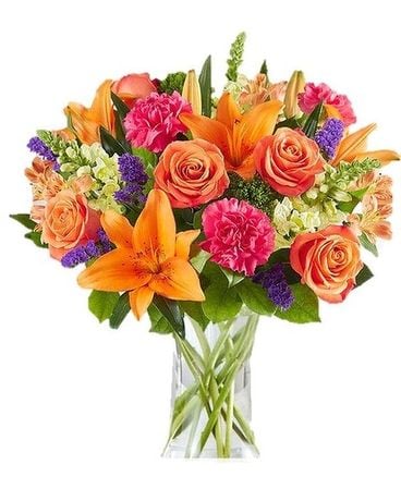 Vibrant Floral Medley by Agnew Florist Flower Arrangement