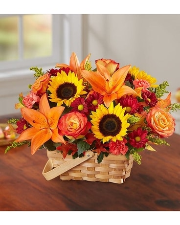 Fields Of Europe Fall Basket by Agnew Florist Flower Arrangement