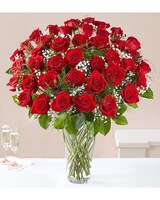 48 Roses size,  inches height and  inches wide.