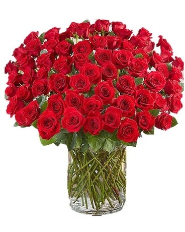 100 Premium Long Stem Red Roses Flower Arrangement