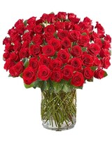 100Red  Roses size,  inches height and  inches wide.