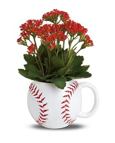 Teleflora's Ground Ball Planter Flower Arrangement