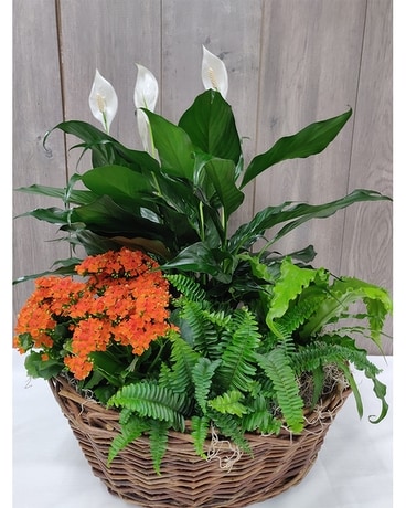 European Garden 12x15 Flower Arrangement