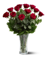 As shown size,  inches height and  inches wide.