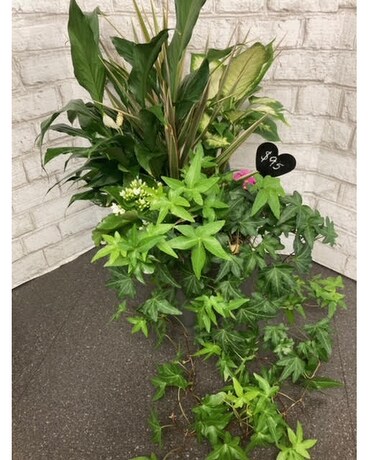Umbrella garden Specialty Arrangement