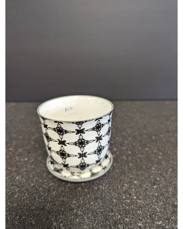 Black Stars pot w/saucer Gifts