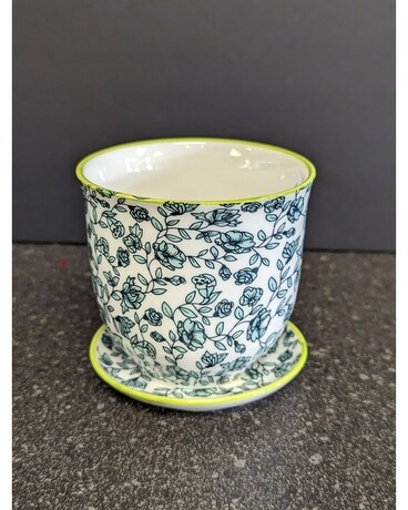 Blue Roses pot w/Saucer Gifts