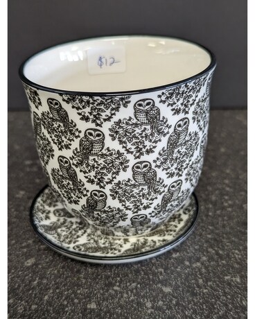 Black Owl Pot w/Saucer Gifts