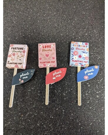 Plant Pops Gifts
