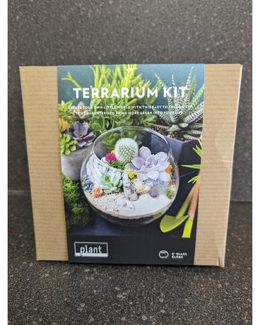 Terrarium Kit, Small Gifts