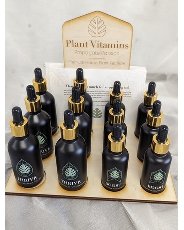 Premium House Plant Fertilizer Plant
