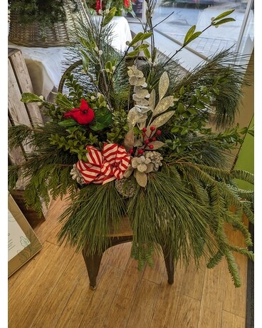 Winter Cardinal Urn Specialty Arrangement