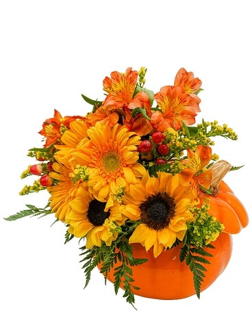 Pumpkin Daze Flower Arrangement