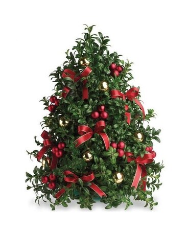 Boxwood Tree Custom Specialty Arrangement