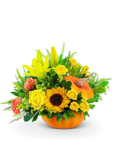 Seasonal Sunkiss Pumpkin Flower Arrangement