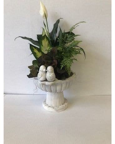 Bird Bath Planter Garden Plant
