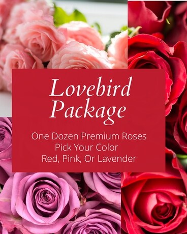 The Lovebird Package - 1 Doz Roses & chocolates Flower Arrangement