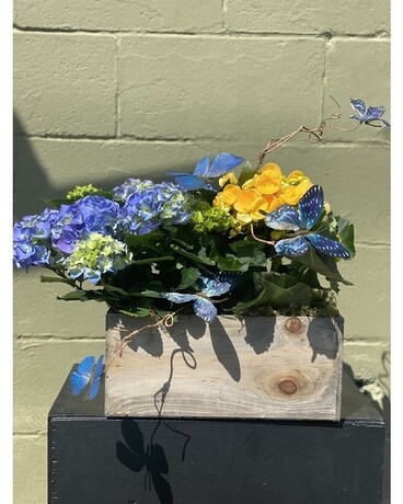 Butterfly Dreams Flower Arrangement