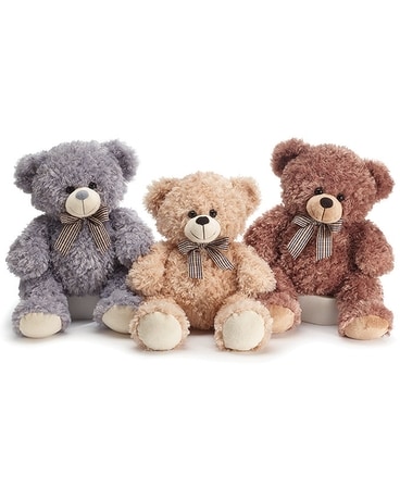 Plush Bear Gifts