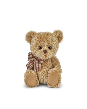 Shaggy the Teddy Gifts