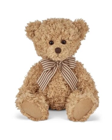 Theodore the Teddy Bear Gifts