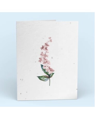 Botanical Greeting Card Gifts