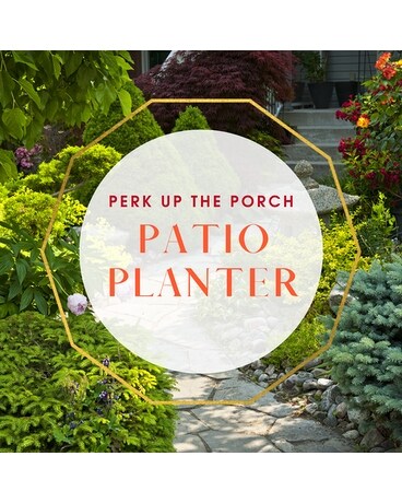 Patio Planter Plant