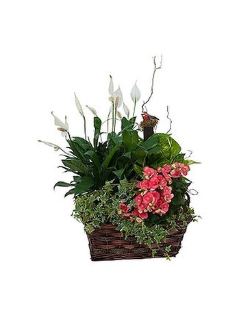 Living Blooming Garden Basket Flower Arrangement