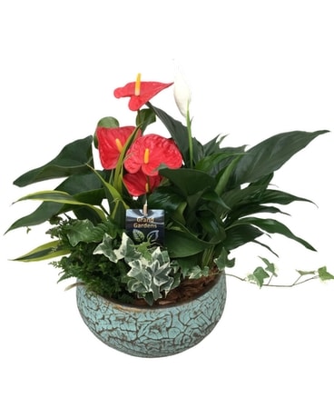 Simply Chic Planter Plant