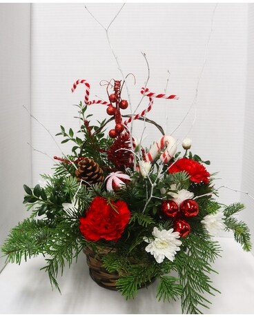 Candy Cane Christmas Flower Arrangement