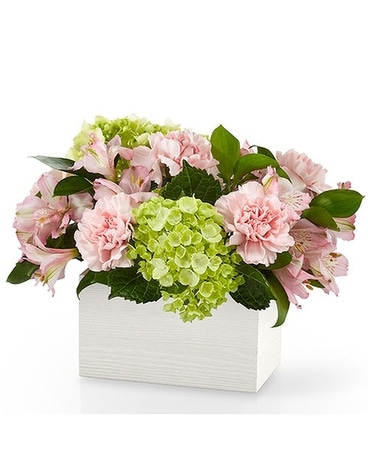 The FTD Sweet Charm Bouquet Flower Arrangement