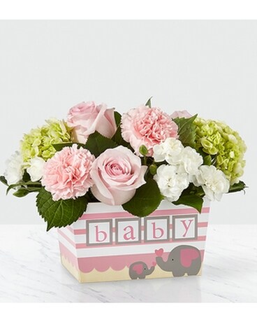 ftd sweet baby girl bouquet