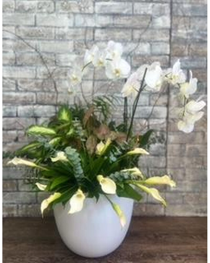 Plants Delivery Sanford FL - Sanford Flower Shop