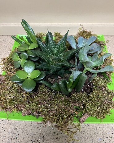 Custom Flower Arrangement