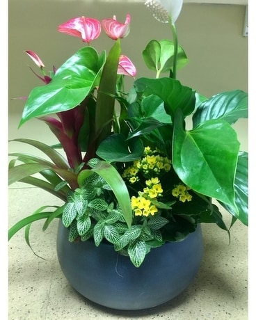 Spring Exotic Tropical Plants Flower Arrangement