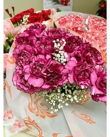 One Dozen Carnations (Curbside Pickup Only) Flower Arrangement