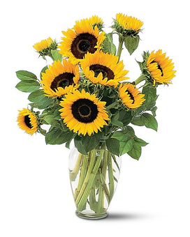 Shining Sunflowers Flower Arrangement