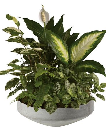 Newport Garden Flower Arrangement