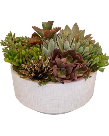 Modern Succulent Garden Flower Arrangement