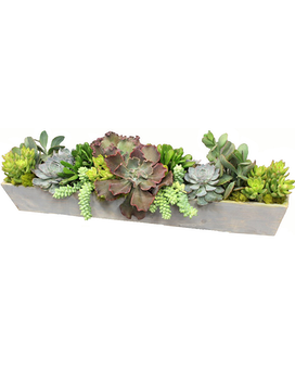 Modern Succulent Garden - Long Flower Arrangement