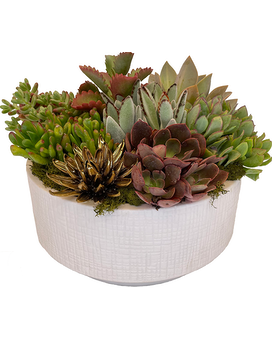 Modern Succulent Garden Flower Arrangement
