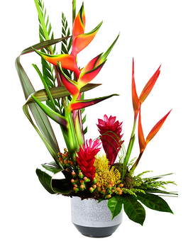 Vanna Tropics Flower Arrangement