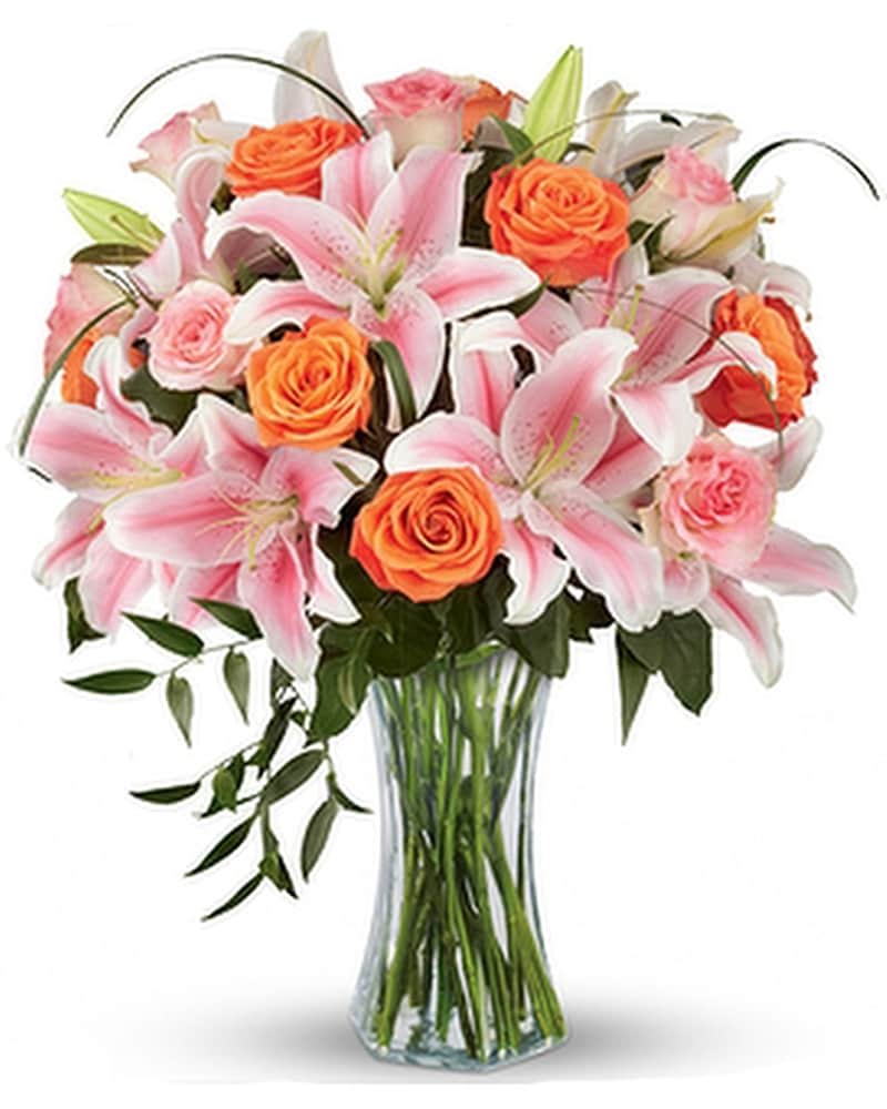 【Lilly.rose様リクエスト】945 微塵唐草7尺輪花皿他4点おまとめにて Amazon.com : Re-Blooming Pink Spider Lily/Lycoris Radiata