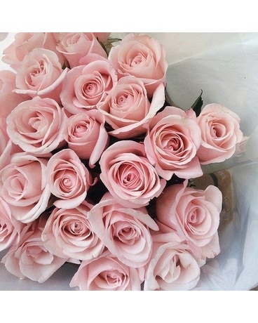 A dozen pink roses wrapped Flower Arrangement